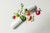 In-person Comprehensive Natural Health Consultation