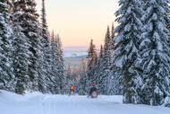 Choosing the Right Snowmobile Trail for Your Ride