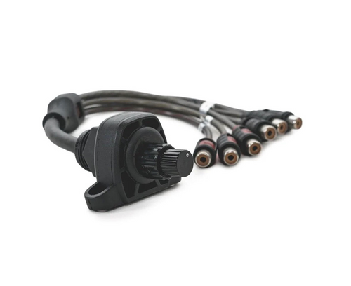 Roswell Dual Zone Volume Control