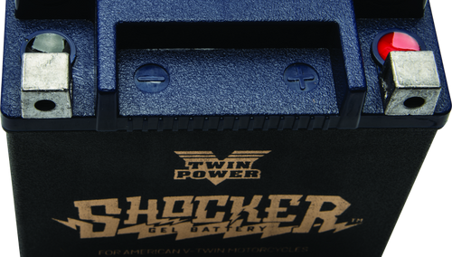 Twin Power YTX-14L Shocker Gel Battery – Heavy-Duty Powersports Battery with Nano-Gel Technology for Harley Davidson and More