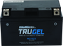 BikeMaster TruGel Battery MG10Z-S for Powersports Vehicles – Long-Lasting Gel Electrolyte Design