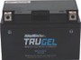 BikeMaster TruGel Battery MG10Z-S for Powersports Vehicles – Long-Lasting Gel Electrolyte Design
