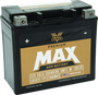 Twin Power GYZ-20HL Premium MAX Factory-Activated AGM Battery for Harley-Davidson – 320 CCA