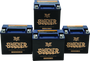 Twin Power YTX-14L Shocker Gel Battery – Heavy-Duty Powersports Battery with Nano-Gel Technology for Harley Davidson and More