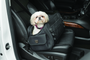 Kuryakyn Pet Palace Flyweight Carrier – Durable, Lightweight Travel Solution for Pets