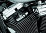 Kuryakyn Spark Plug & Head Bolt Covers for Evolution Big Twin & 1986-2003 XL Harley Davidson Models - Part 8315