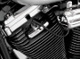 Kuryakyn Spark Plug & Head Bolt Covers for Evolution Big Twin & 1986-2003 XL Harley Davidson Models - Part 8315