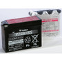 YUASA YUAM62T4B Maintenance Free 12 Volt Battery for Motorcycles and Powersports Vehicles