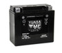 Yuasa YTX20 Factory Activated Maintenance-Free 12 Volt Battery (Part Number YUAM42RBS)