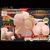 NPG Extreme Pleasure Hip Mini Mori Hinako