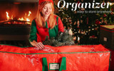 Best Christmas Tree Storage Bag for Easy Packing