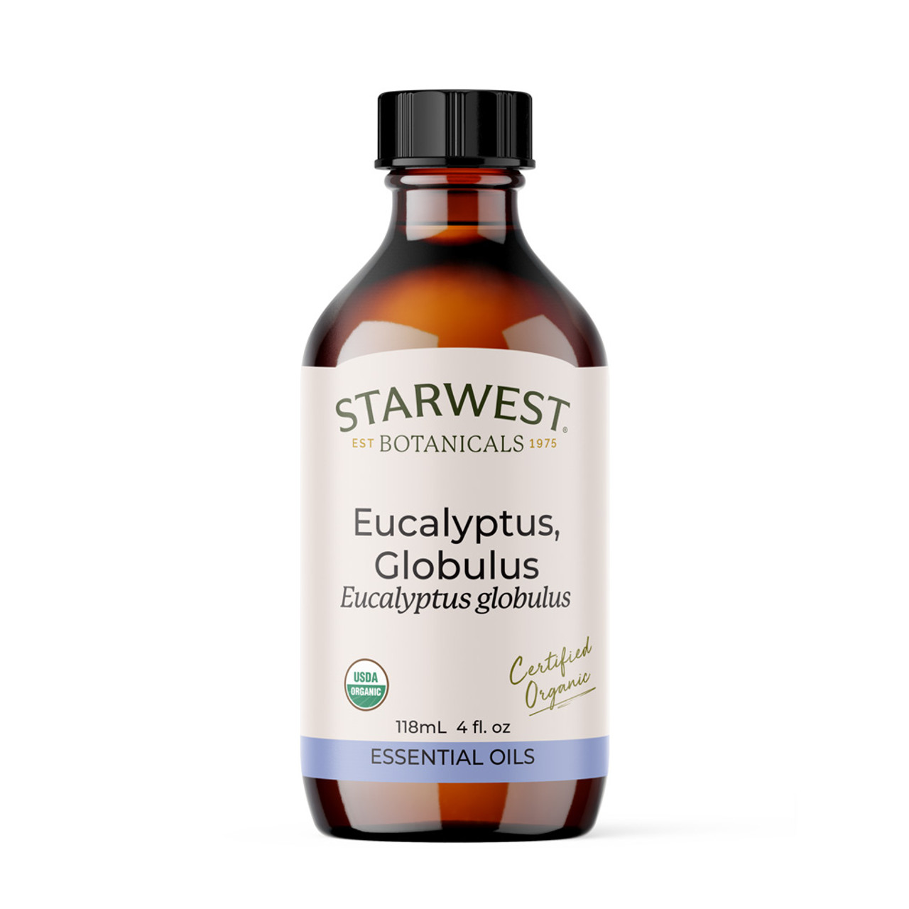 Eucalyptus Globulus or Globulous Essential Oil - Born to Bio