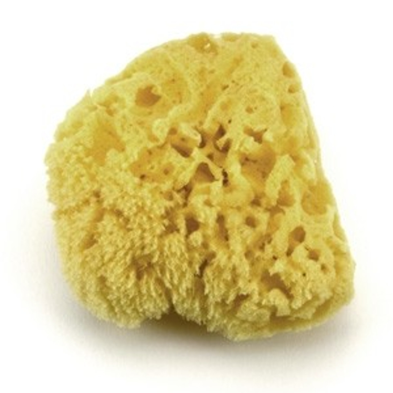 Natural Bath Sea Sponge