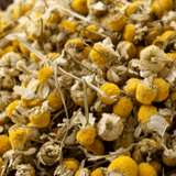 Chamomile Benefits & Uses | Starwest Botanicals