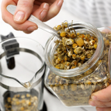 German Chamomile vs Roman Chamomile: Similarities & Differences