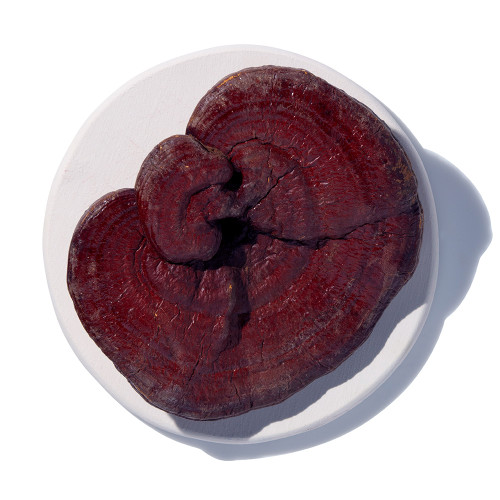Red Reishi Mushrooms Whole Organic Red Reishi Mushrooms Whole Organic