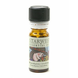 Eucalyptus Citriodora Essential Oil