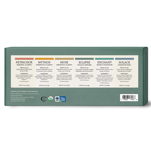 The image shows a premium slate-green gift box featuring a wide rectangular window that displays a row of six clear glass spice jars. Centered above the window, the brand name "POETIC APOTHECARY™" is printed in elegant white serif type, while the tagline "FUNCTIONAL SEASONINGS for CULINARY WELLNESS" runs across the bottom of the box. Each jar is topped with a copper-colored metallic lid and features a minimalist cream label with a distinct color-coded bar corresponding to its specific blend. From left to right, the collection includes Mythos for Strength & Clarity with a golden-ochre accent, Enchant for Heart & Elevation with a seafoam-green accent, and Eclipse for Focus & Ground with a slate-gray accent. These are followed by Petrichor for Renewal & Earth with a terracotta accent, Muse for Creative & Clarity with a champagne-gold accent, and Solace for Digestive Ease with a slate-blue accent. The jars reveal a variety of textures, ranging from finely ground, rich earthy spices to coarse botanical blends with visible leaf fragments and floral flecks. The entire set is presented with clean, soft lighting that casts a subtle shadow, emphasizing a premium and intentional apothecary aesthetic.