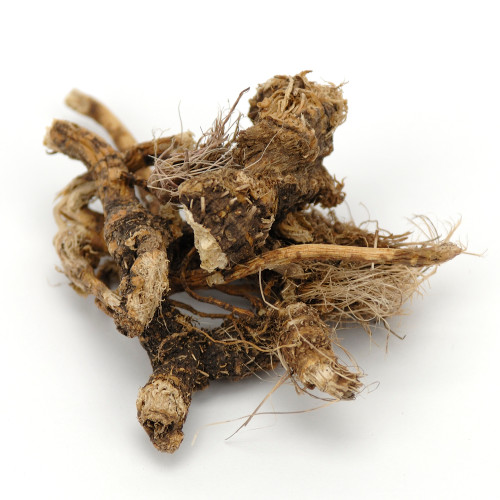 Osha Root Whole Wildcrafted