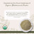 Summary for Bladderwrack Powder Organic