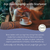 Earl Grey Organic Tea Bags