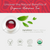 Hibiscus Organic Tea Bags