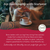 Hibiscus Organic Tea Bags