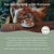 Jasmine Organic Tea Bags