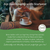 Nettle Leaf Organic Tea Bags