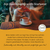 Turmeric Ginger Organic Tea Bags