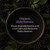 A black plate surrounded by ripe elderberry clusters and green leaves with text reading "Organic Elderberries. Whole dried elderberries with a rich color and distinctive fruity character."
