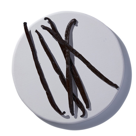 Vanilla Bean – ICONIC Wholesale