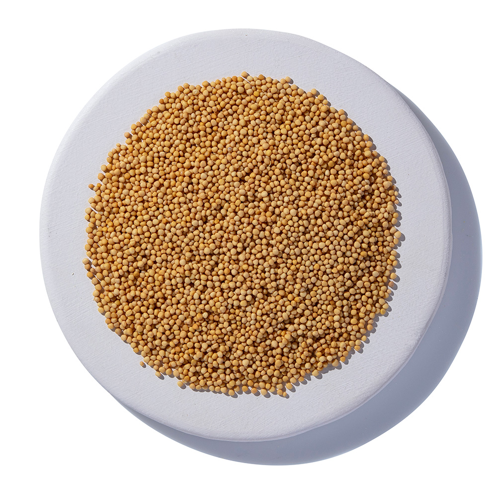 Yellow Mustard Seed Organic