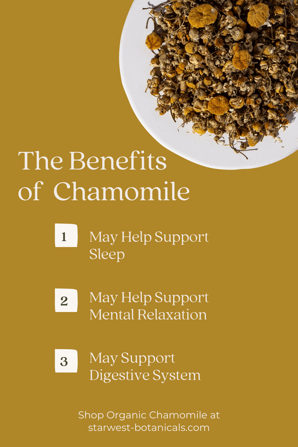 Chamomile Benefits & Uses Starwest Botanicals Starwest Botanicals