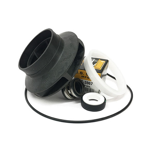 Aqua Flo Flow Master Hot Tub Pump Rebuild Kits | Canada