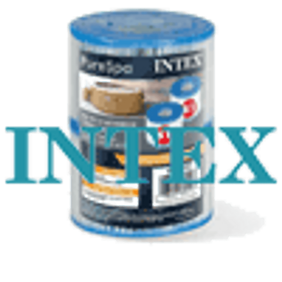 Intex Pool Spa Filters