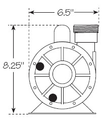 Waterway Iron Might Circulation Pump