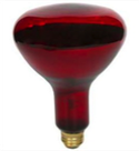 Rednight Globe 100w