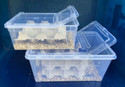 classic tubs for crickets