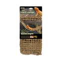 lizard lounger