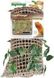 Lizard Lounger Vine