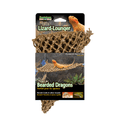 Lizard lounger corner