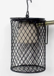 Light cage for mini globes