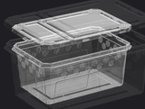 H11 Flip Top Container