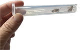 Cricket Chute