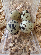 Frozen Quail Eggs - 4 pack