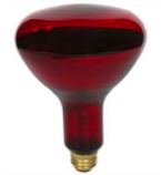 Rednight Globe 50w