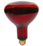 Rednight Globe 40w