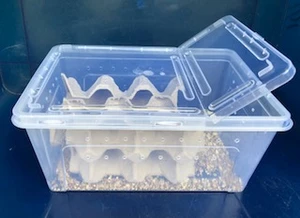 classic tubs for crickets