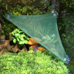 Reptile Hammock bed small